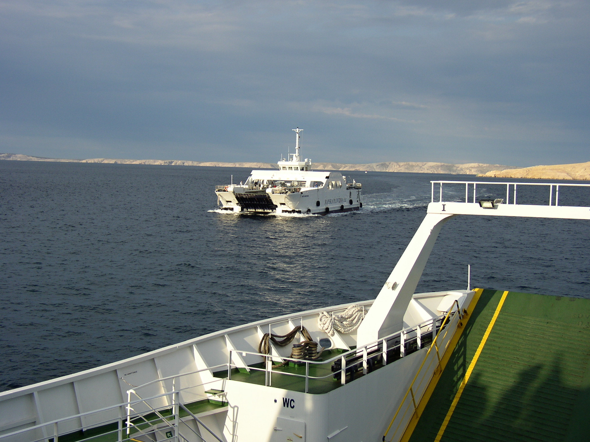 P1010003
